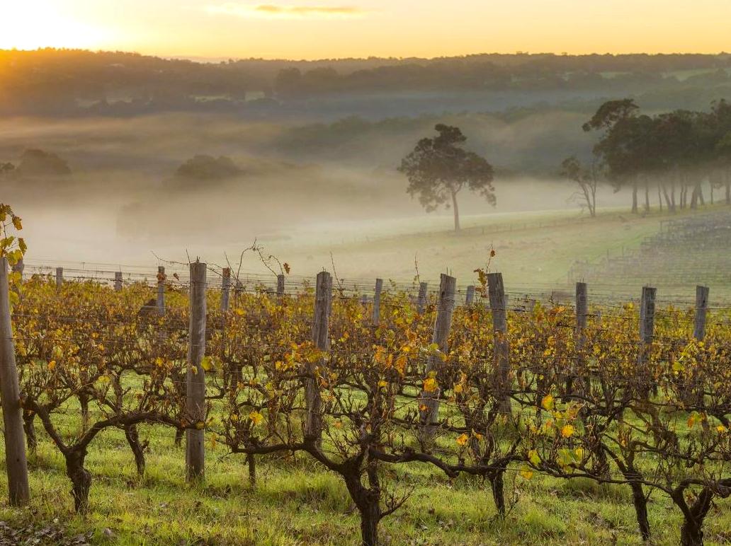 multicopterpilots | Tasting Your Way Through Margaret River Wine Region