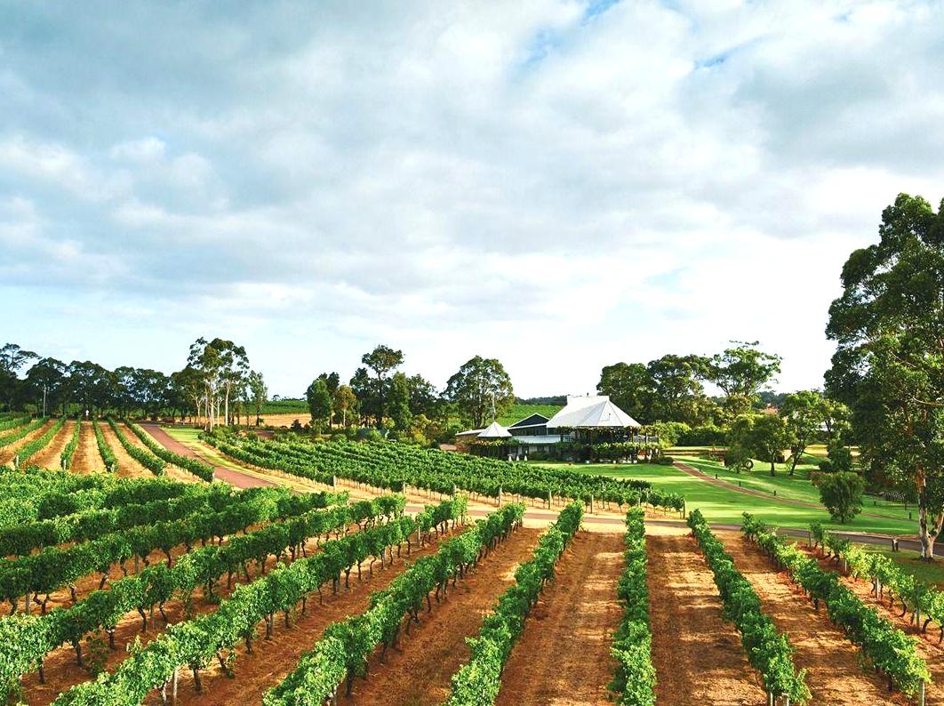 multicopterpilots | Tasting Your Way Through Margaret River Wine Region