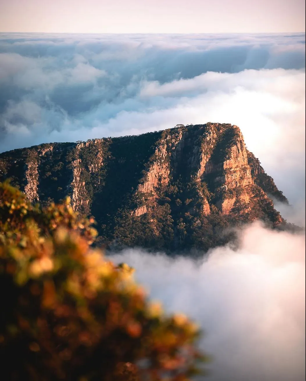 Mount William