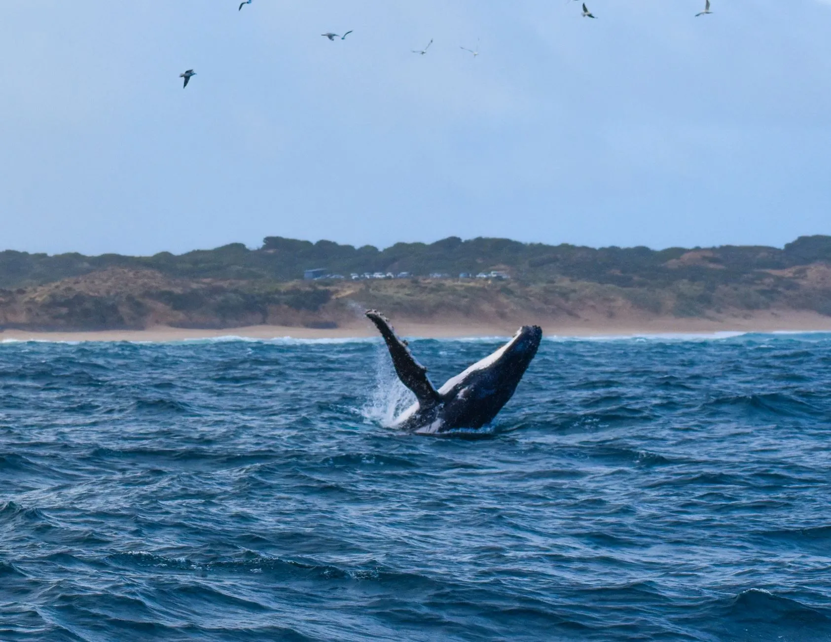 Nature, Relaxation and Nearby Attractions
