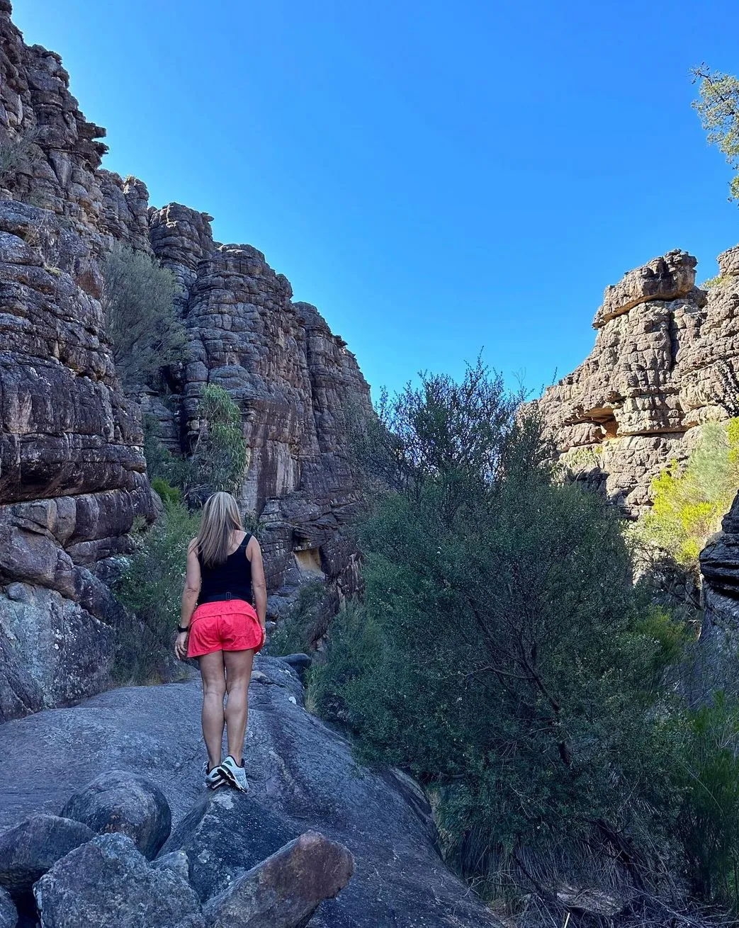 Wonderland Range