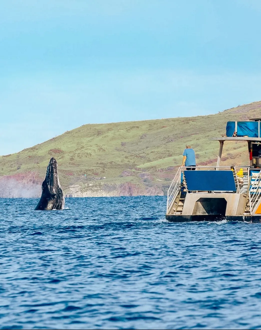 Land vs Boat, How Do You Spot ‘Em