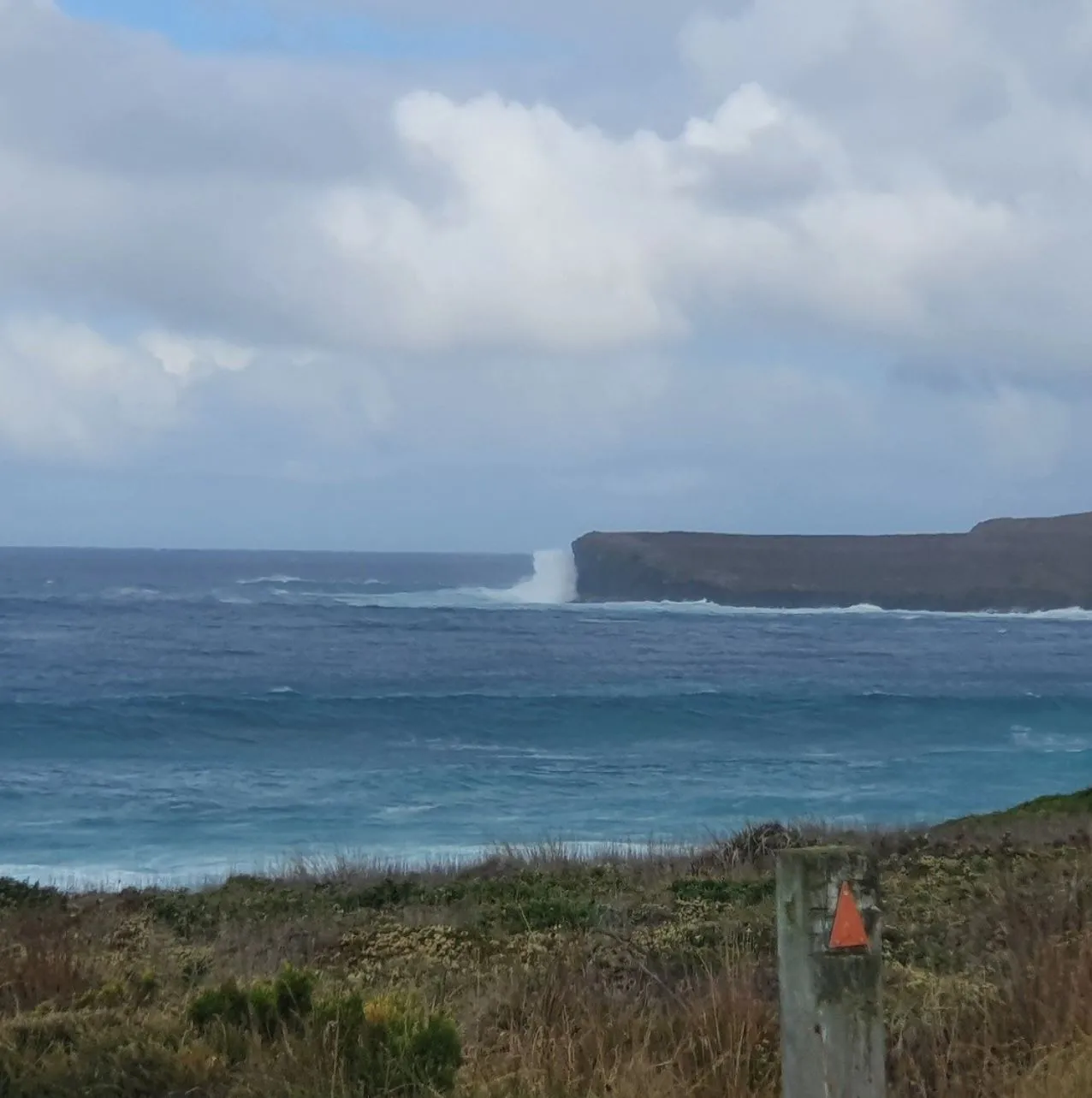 Portland Bay