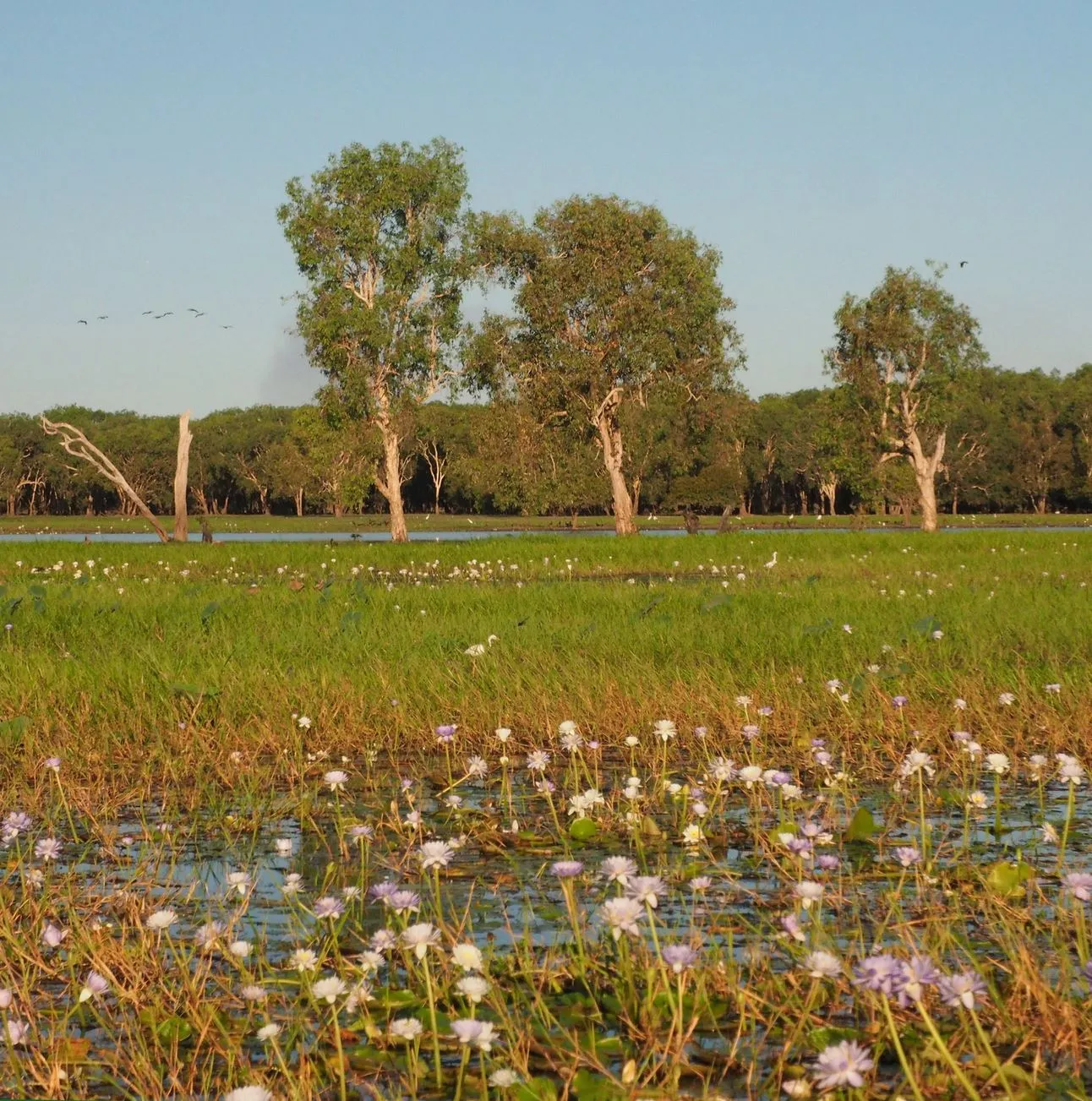 Water Management