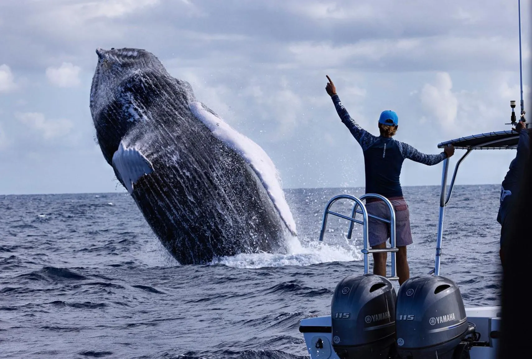 What to Pack for Whale Watching